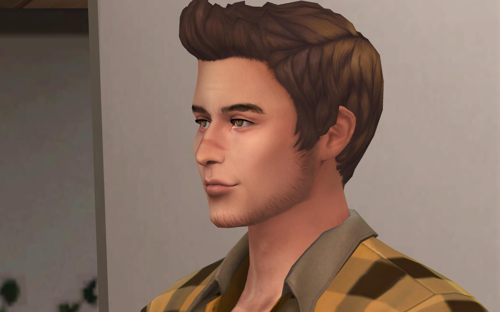 Sims 2