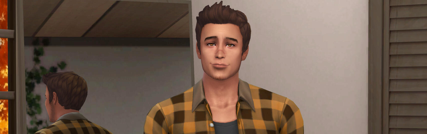 Sims 3